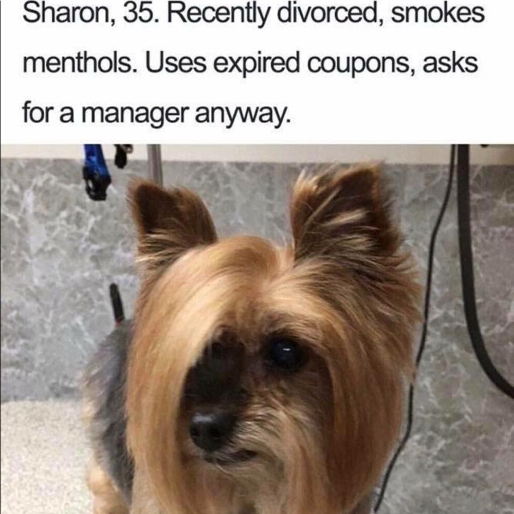 Meet your Posher, John